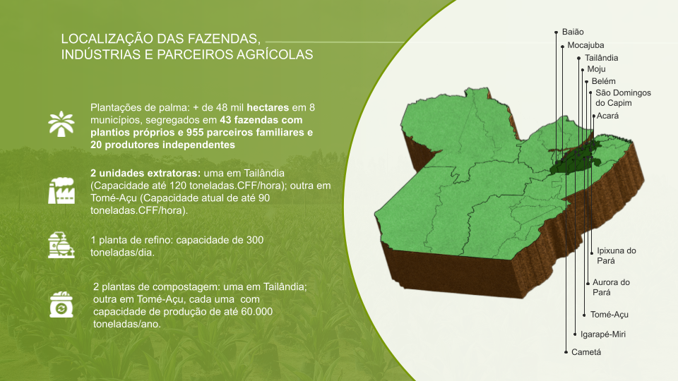 mapa de produção